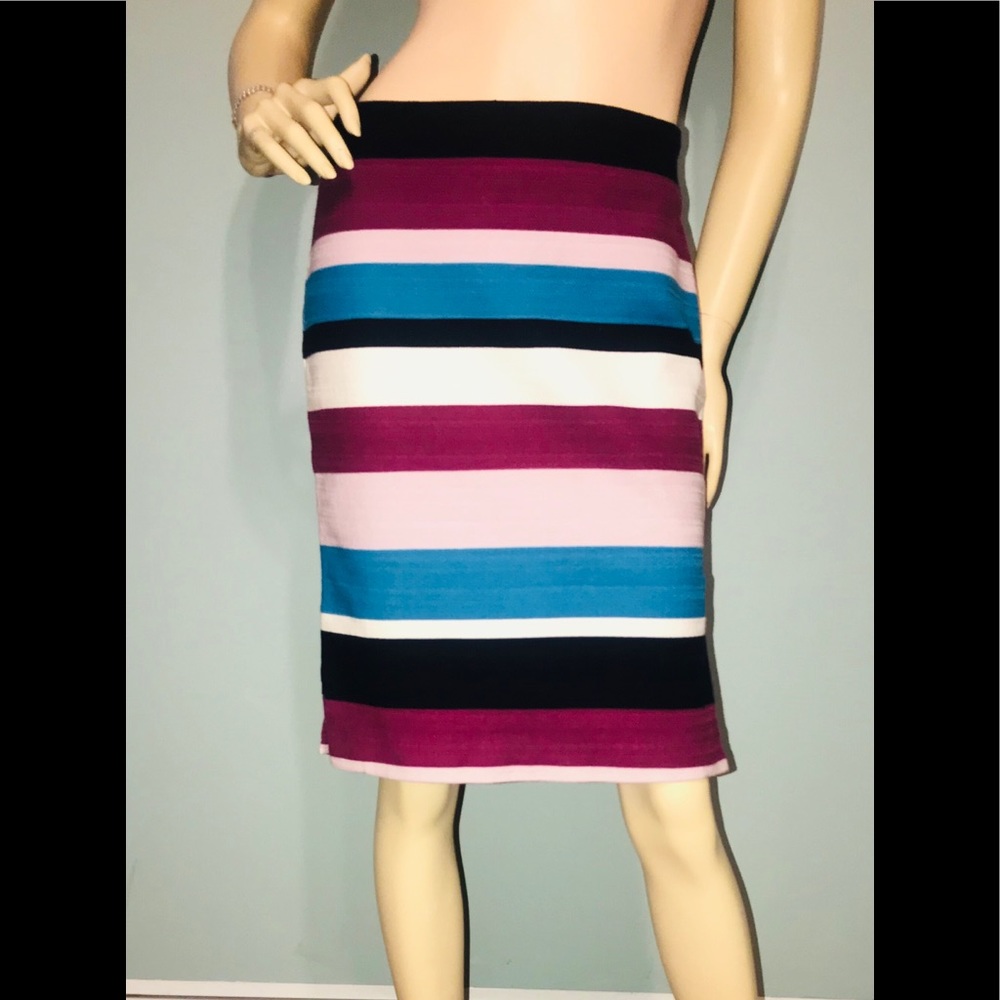 LOFT • Purple Striped Midi Skirt /size (6)